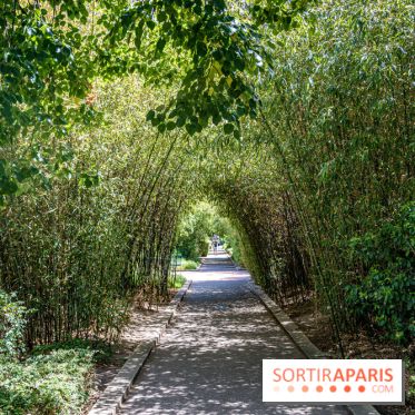 La Coulée verte, la promenade insolite de la Bastille à Vincennes