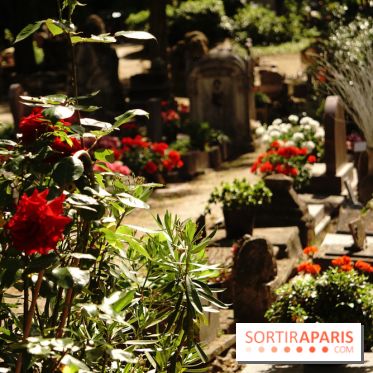 Le cimetière canin à Asnières-sur-Seine