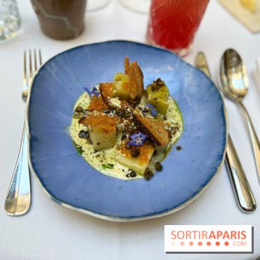 Cléo, Le Narcisse Blanc - Eté 2022