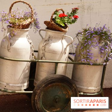 La fromagerie Ganot à Jouarre