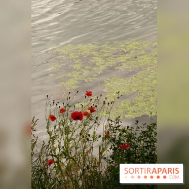 l'Île des Impressionnistes à Chatou