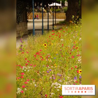 l'Île des Impressionnistes à Chatou