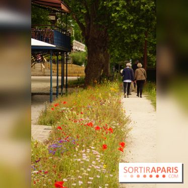 l'Île des Impressionnistes à Chatou