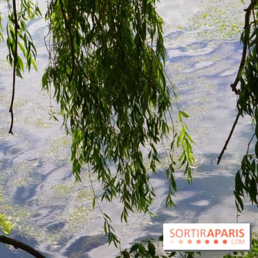 l'Île des Impressionnistes à Chatou