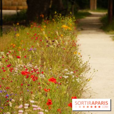 l'Île des Impressionnistes à Chatou