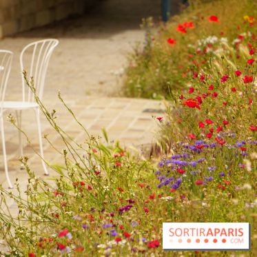 l'Île des Impressionnistes à Chatou