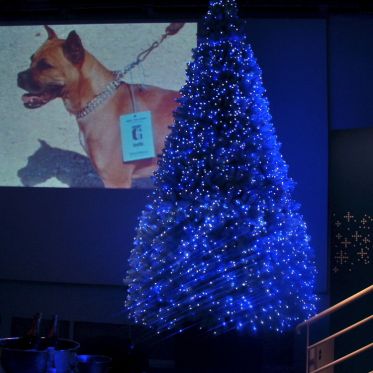 Le mardi 24 novembre, l'Atelier Renault organisait une soirée privée à l'occasion de la présentation de sa nouvelle Gordini. André en était l'invité d'honneur.