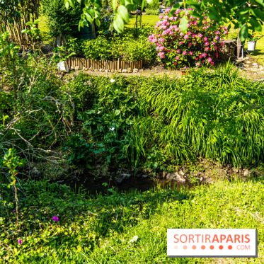 La promenade des petits ponts dans la vallée de Chevreuse -  A7C3853