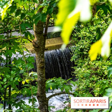 La promenade des petits ponts dans la vallée de Chevreuse -  A7C3856