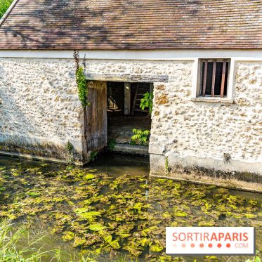 La promenade des petits ponts dans la vallée de Chevreuse -  A7C3862