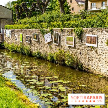 La promenade des petits ponts dans la vallée de Chevreuse -  A7C3867
