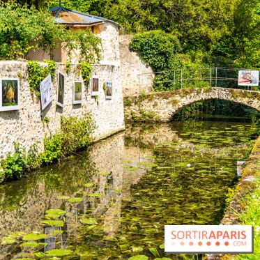 La promenade des petits ponts dans la vallée de Chevreuse -  A7C3868
