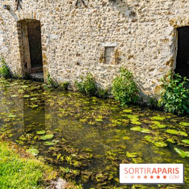 La promenade des petits ponts dans la vallée de Chevreuse -  A7C3872