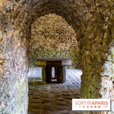 La promenade des petits ponts dans la vallée de Chevreuse -  A7C3877