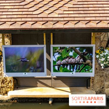 La promenade des petits ponts dans la vallée de Chevreuse -  A7C3880