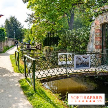 La promenade des petits ponts dans la vallée de Chevreuse -  A7C3881