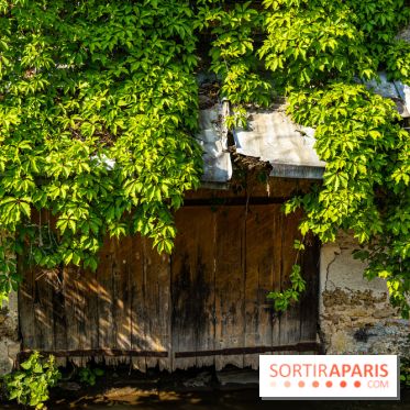 La promenade des petits ponts dans la vallée de Chevreuse -  A7C3885