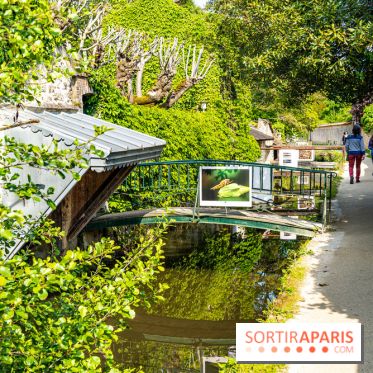 La promenade des petits ponts dans la vallée de Chevreuse -  A7C3889