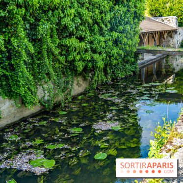 La promenade des petits ponts dans la vallée de Chevreuse -  A7C3896