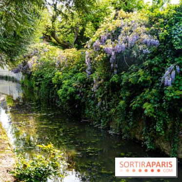 La promenade des petits ponts dans la vallée de Chevreuse -  A7C3898