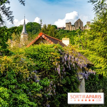 La promenade des petits ponts dans la vallée de Chevreuse -  A7C3910