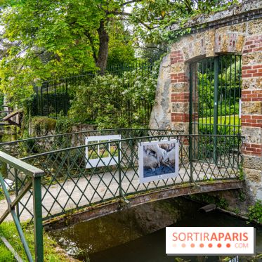 La promenade des petits ponts dans la vallée de Chevreuse -  A7C3915