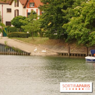 L’île Fanac à Joinville-le-Pont, un lieu incontournable à découvrir dans le Val de Marne
