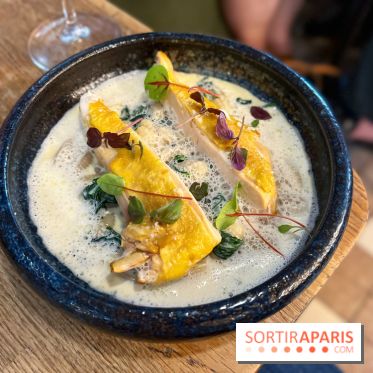 Les Fous de l'Ile - été 2022