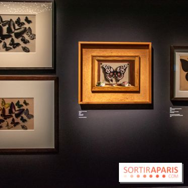 Shocking! Les mondes surréalistes d’Elsa Schiaparelli, nos photos de l'exposition mode au MAD