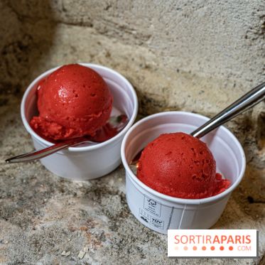 Les glaces de Jacques Génin à Paris