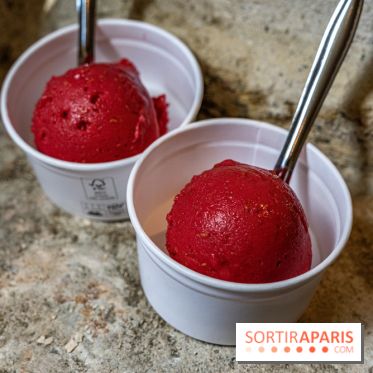 Les glaces de Jacques Génin à Paris