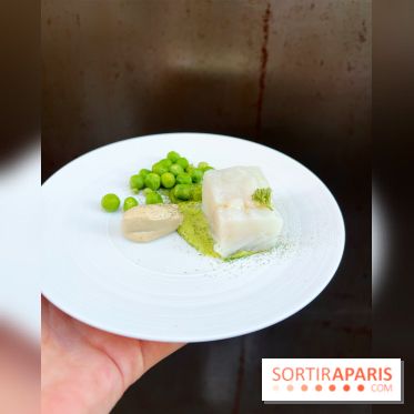 NESO Guillaume Sanchez x The Botanist