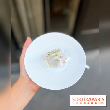 NESO Guillaume Sanchez x The Botanist