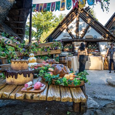 Le Banquet Gaulois au Parc Asterix 