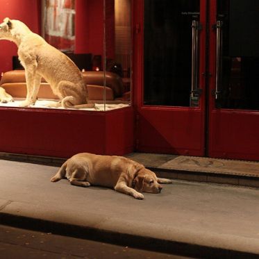 Paris by Serge Ricco