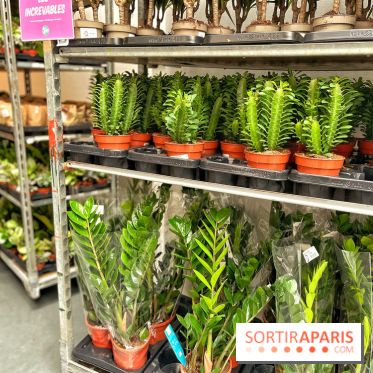 Plantes pour Tous, les prochaines ventes de plantes à partir de 2€ à Paris