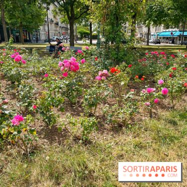 Balade sur la Petite Ceinture du 17e : la promenade Pereire