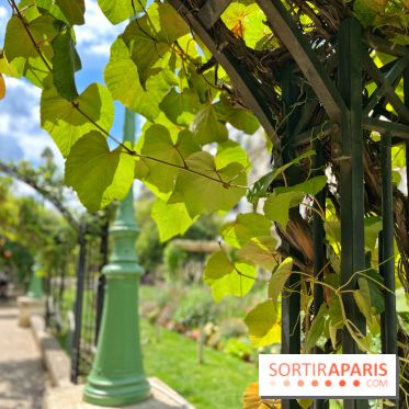 Balade sur la Petite Ceinture du 17e : la promenade Pereire