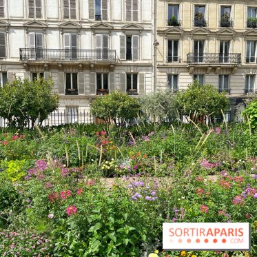 Balade sur la Petite Ceinture du 17e : la promenade Pereire