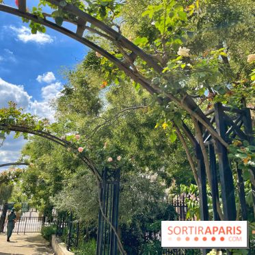 Balade sur la Petite Ceinture du 17e : la promenade Pereire