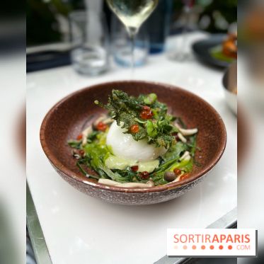 Grand Duc - Eté 2022