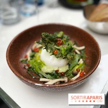 Grand Duc - Eté 2022