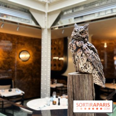 Grand Duc - Eté 2022