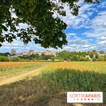 Houdan, ville médiévale et balade historique dans les Yvelines