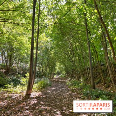 Balade sur la Petite Ceinture du 14 au 16e arrondissement : un sentier nature dépaysant