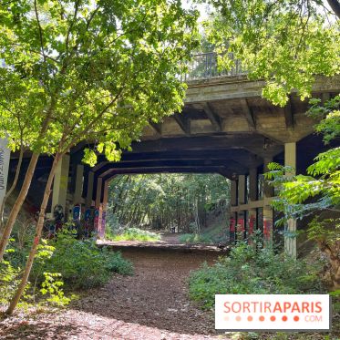 Balade sur la Petite Ceinture du 14 au 16e arrondissement : un sentier nature dépaysant