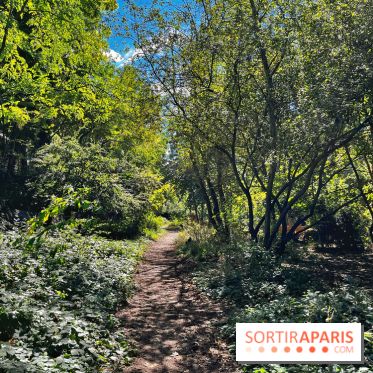 Balade sur la Petite Ceinture du 14 au 16e arrondissement : un sentier nature dépaysant