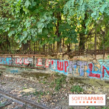 Balade sur la Petite Ceinture du 14 au 16e arrondissement : un sentier nature dépaysant