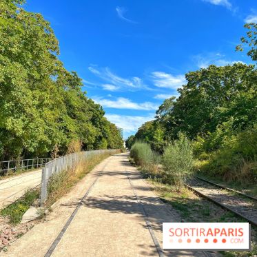 Balade sur la Petite Ceinture du 14 au 16e arrondissement : un sentier nature dépaysant