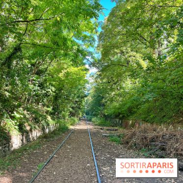 Balade sur la Petite Ceinture du 14 au 16e arrondissement : un sentier nature dépaysant